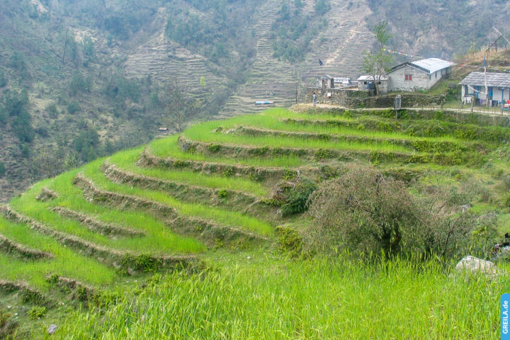 Nepal