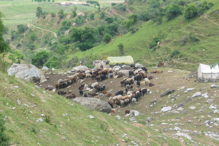 Kirgistan