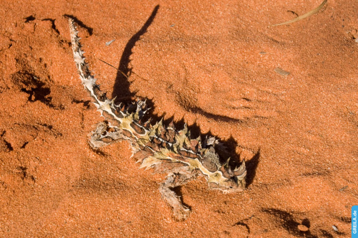 Australien, 2014