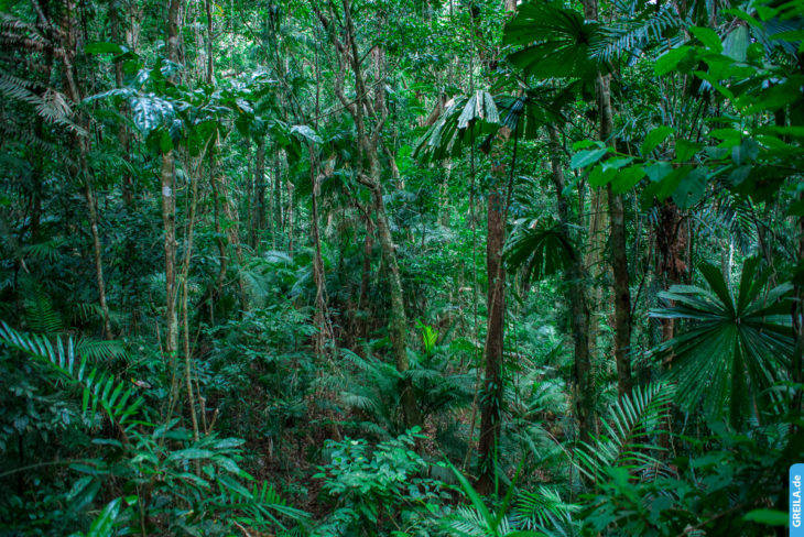Australien, 2014