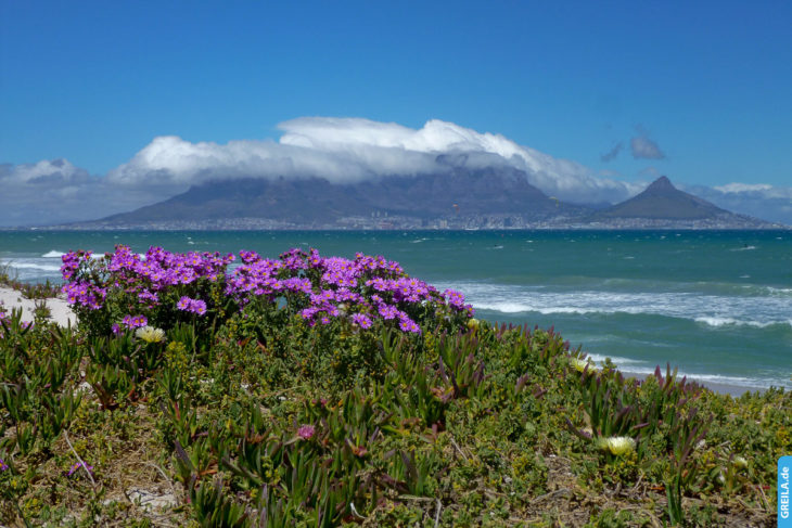 Südafrika, 2013