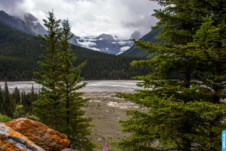 Kanada, 2012