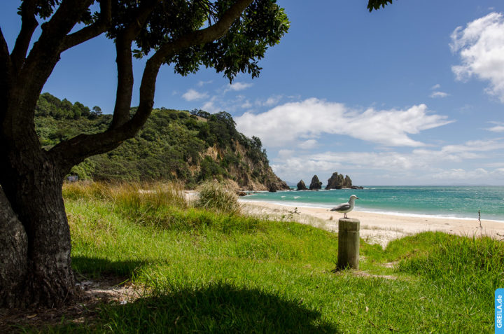 Neuseeland, 2018