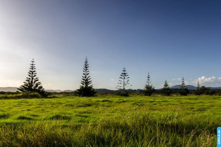 Neuseeland, 2018