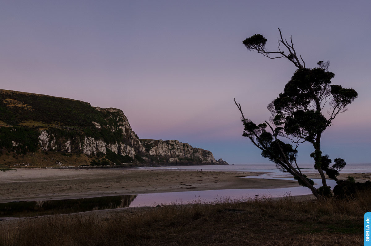 Neuseeland, Südinsel, Catlins, Purakaunui Bay
