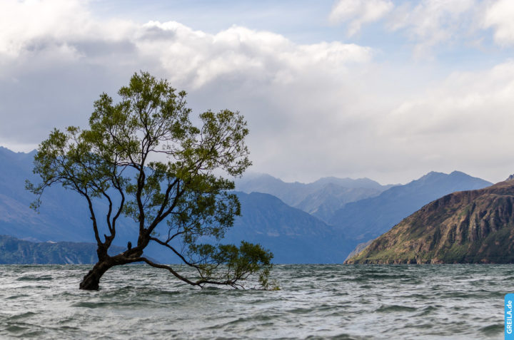 Neuseeland, 2018