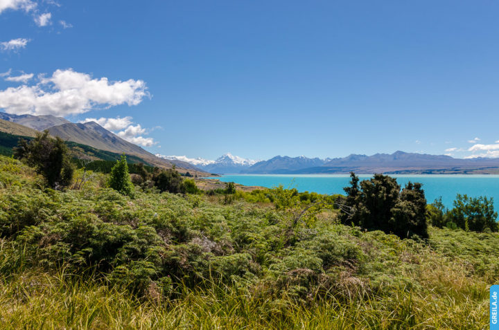 Neuseeland, 2018