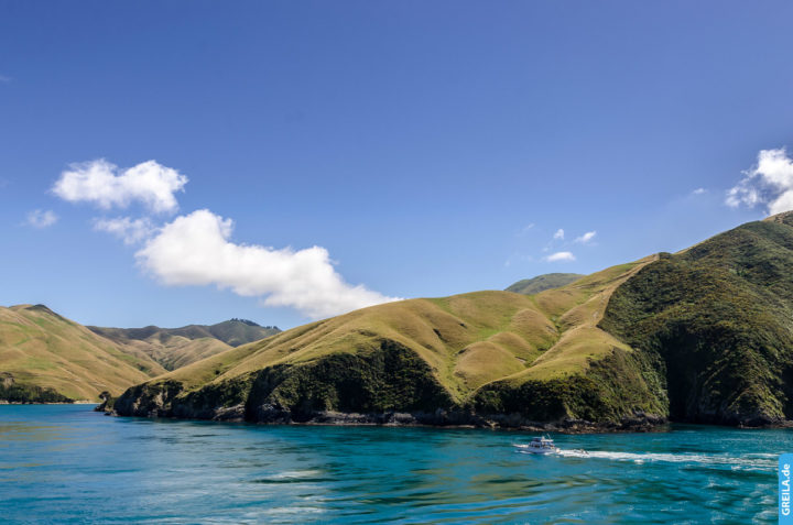 Neuseeland, 2018