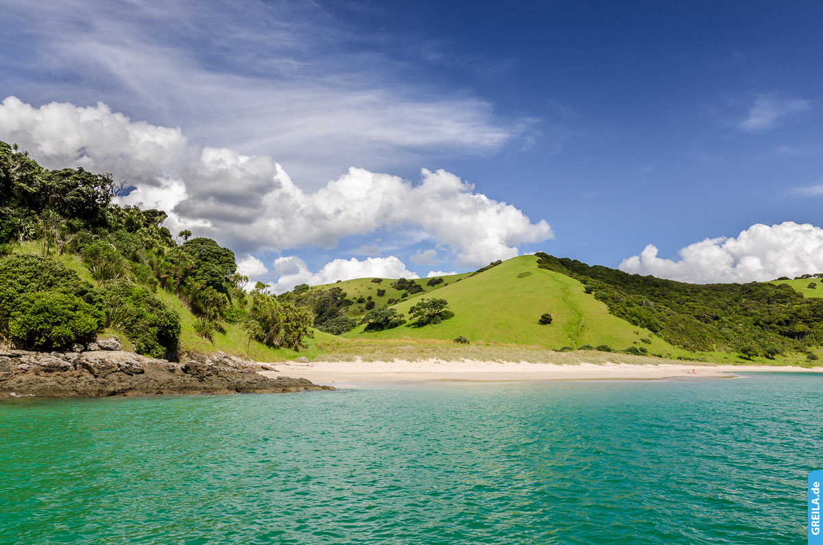 Neuseeland, 2018