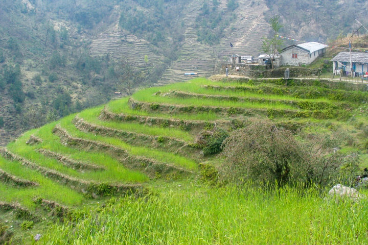 Nepal