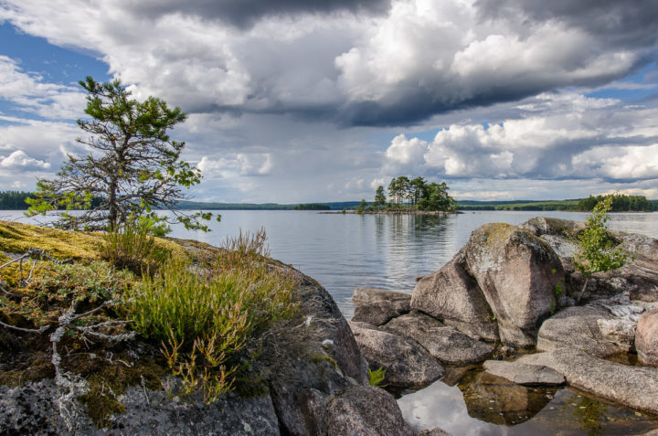 Schweden, 2019