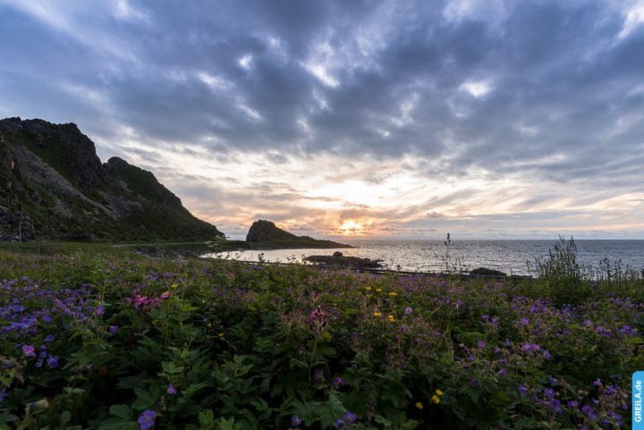 Norwegen, 2019