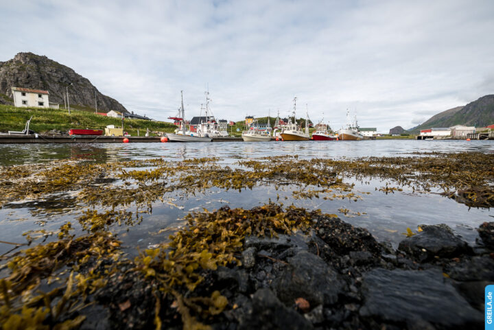 Norwegen, 2019