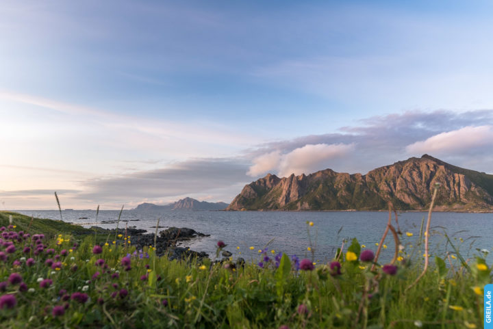 Norwegen, 2019