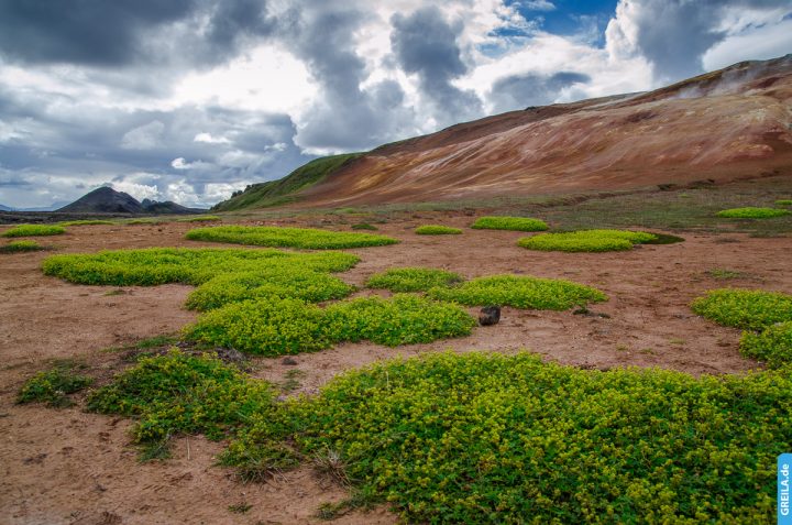 Island, 2015
