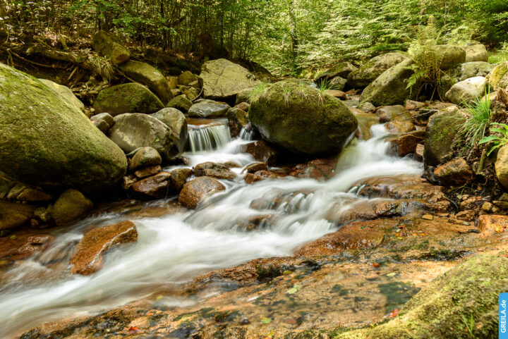 Fotospots Harz Bodetal