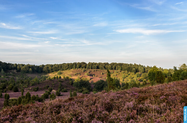 Lüneburger Heide Totengrund