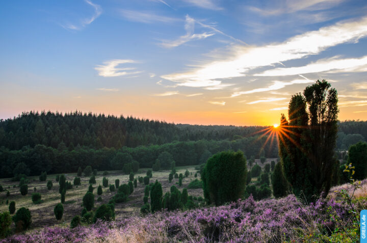 Lüneburger Heide
