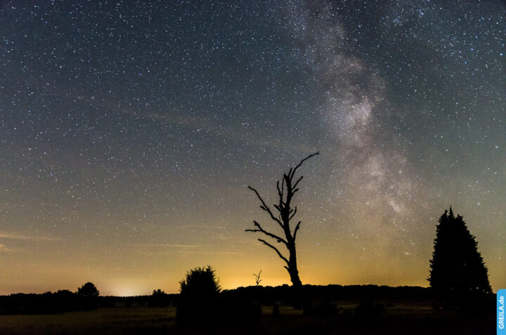 Lüneburger Heide Astrofotografie Milchstraße