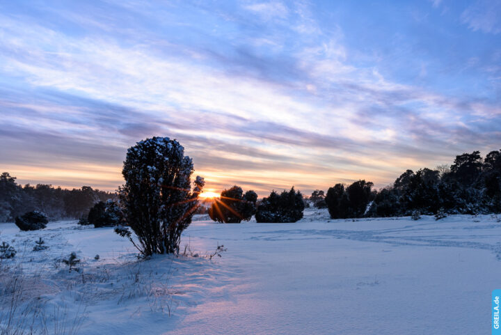 Winterlandschaft Lüneburger Heide