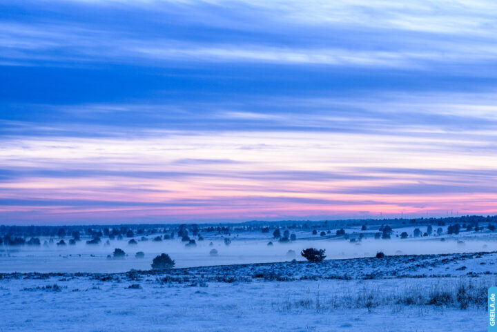 Lüneburger Heide Nebel
