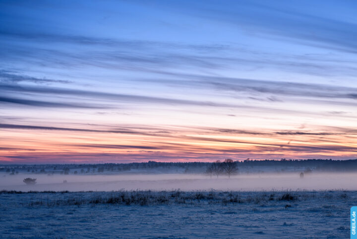 Lüneburger Heide Nebel
