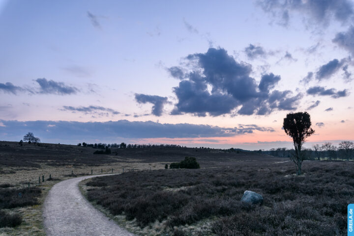 Lüneburger Heide