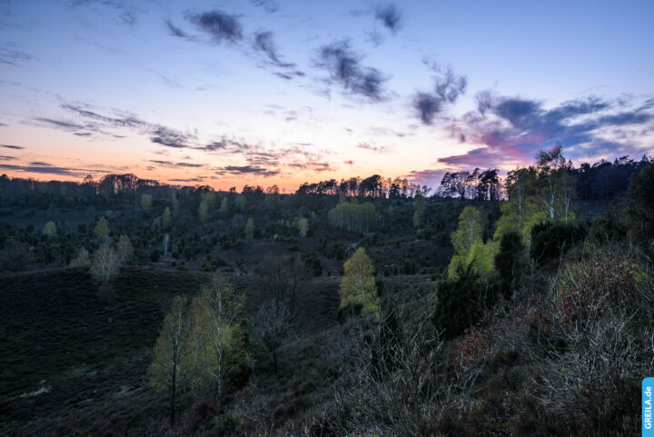 Lüneburger Heide Totengrund
