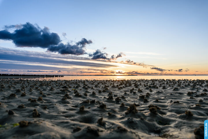 Fotospot Föhr Utersum Watt